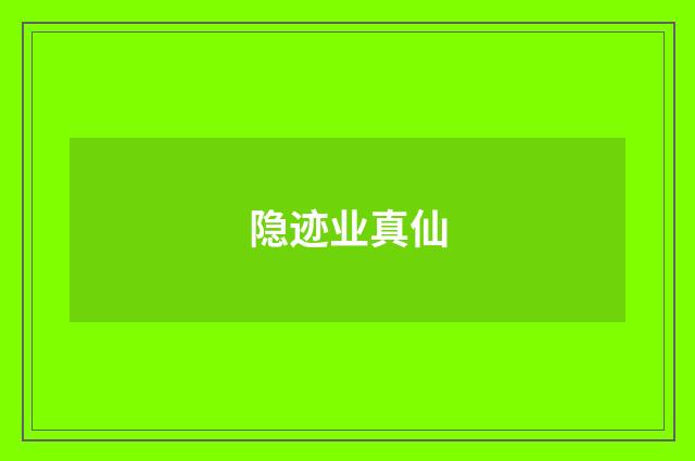 隐迹业真仙