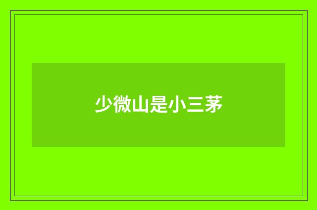 少微山是小三茅