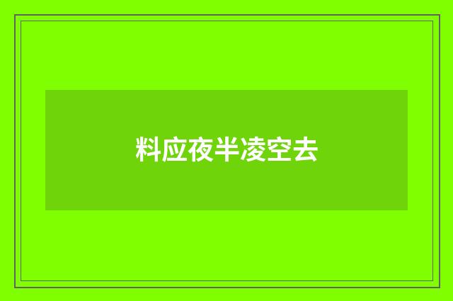 料应夜半凌空去