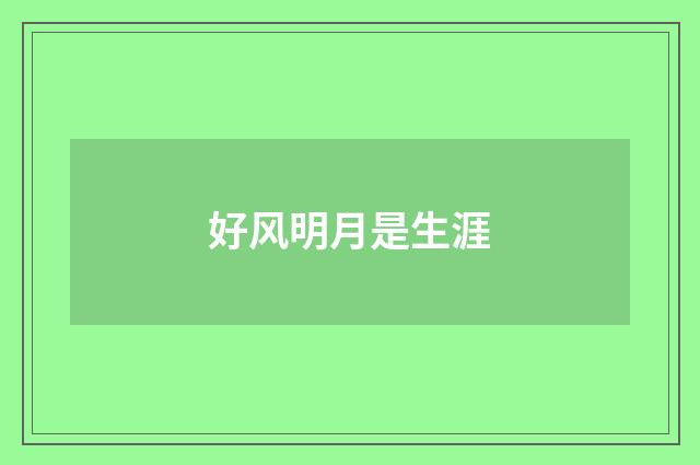 好风明月是生涯