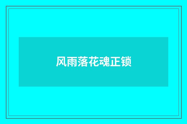 风雨落花魂正锁