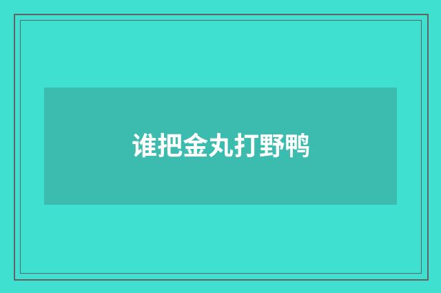 谁把金丸打野鸭