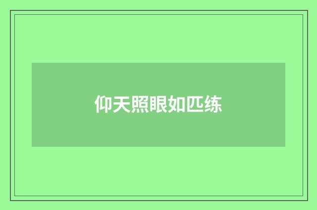 仰天照眼如匹练
