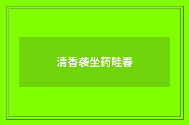 清香袭坐药畦春