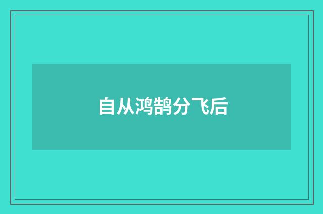 自从鸿鹄分飞后