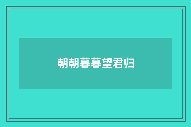 朝朝暮暮望君归