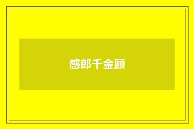 感郎千金顾