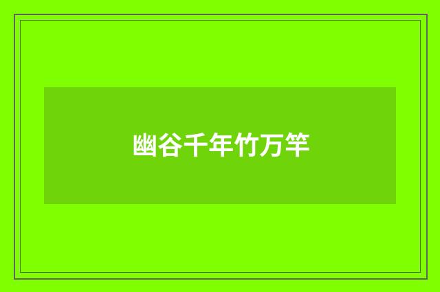 幽谷千年竹万竿