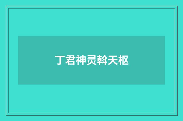 丁君神灵斡天枢