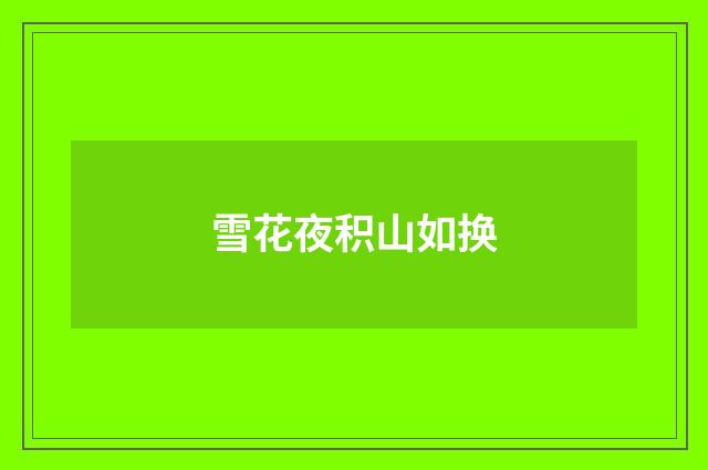 雪花夜积山如换