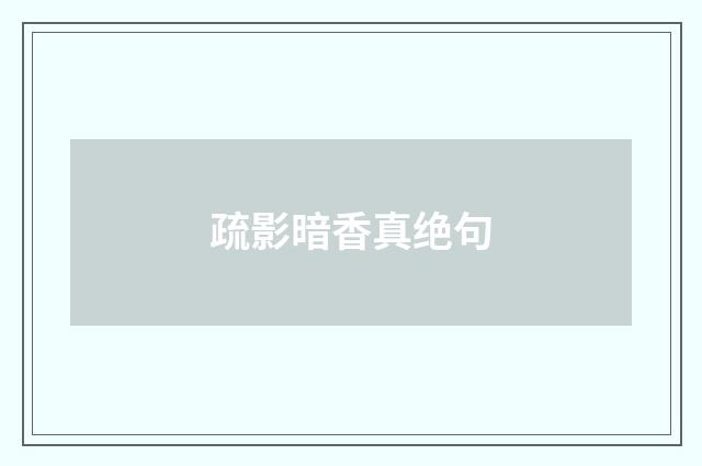 疏影暗香真绝句