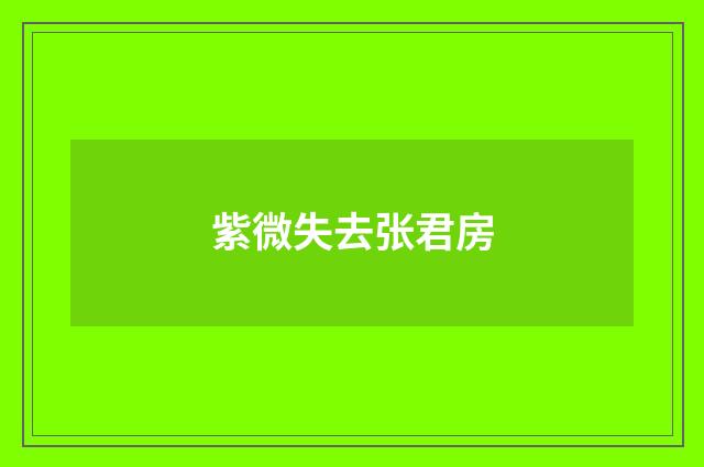 紫微失去张君房