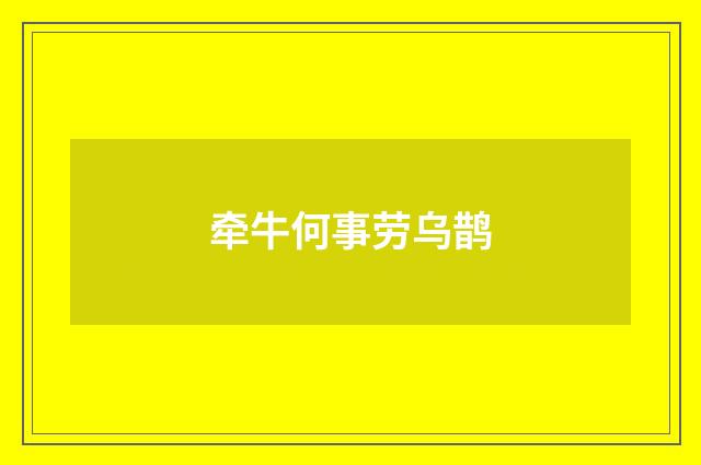 牵牛何事劳乌鹊