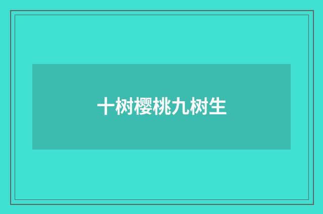 十树樱桃九树生