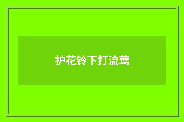 护花铃下打流莺