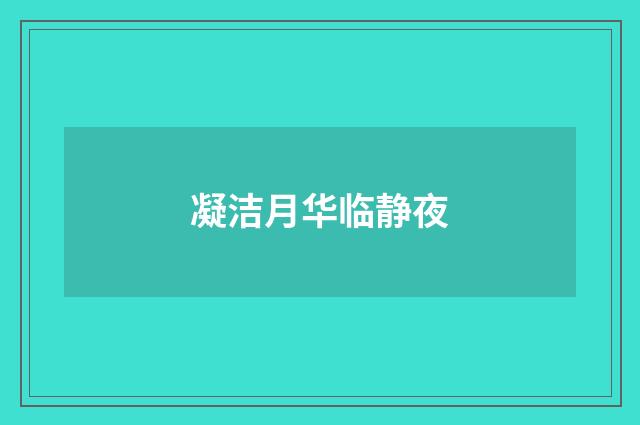 凝洁月华临静夜
