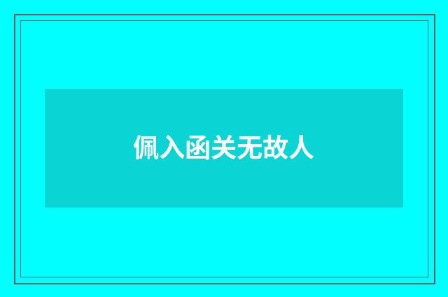 佩入函关无故人