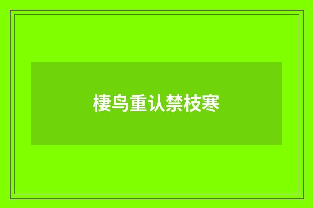 棲鸟重认禁枝寒