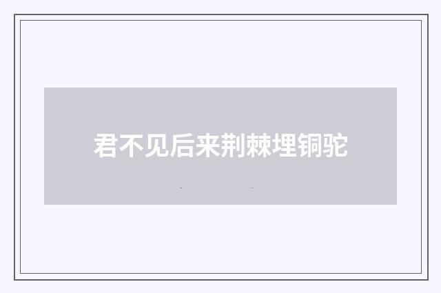 君不见后来荆棘埋铜驼