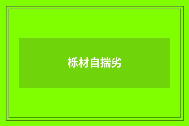 栎材自揣劣