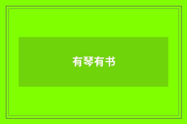 有琴有书