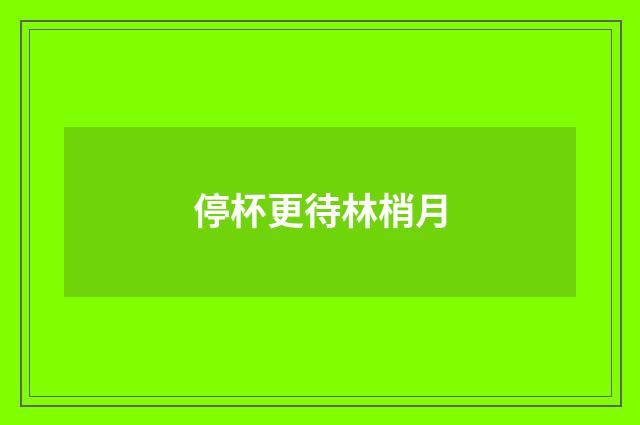 停杯更待林梢月