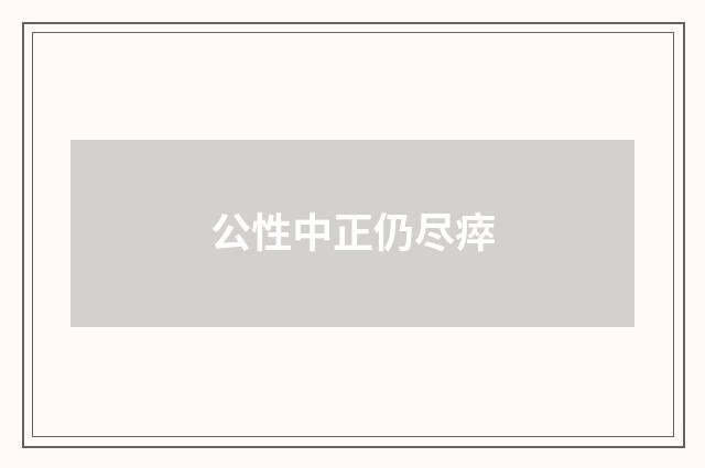 公性中正仍尽瘁