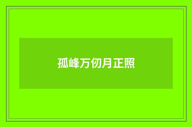 孤峰万仞月正照
