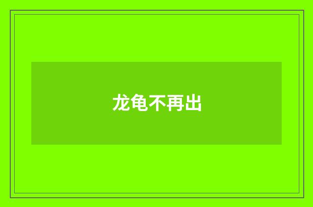 龙龟不再出
