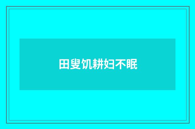 田叟饥耕妇不眠