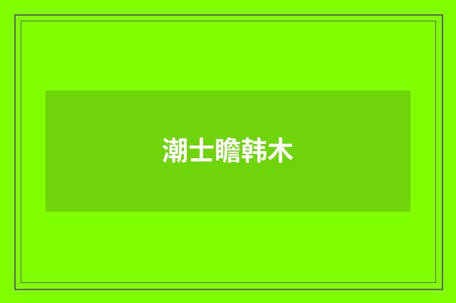 潮士瞻韩木