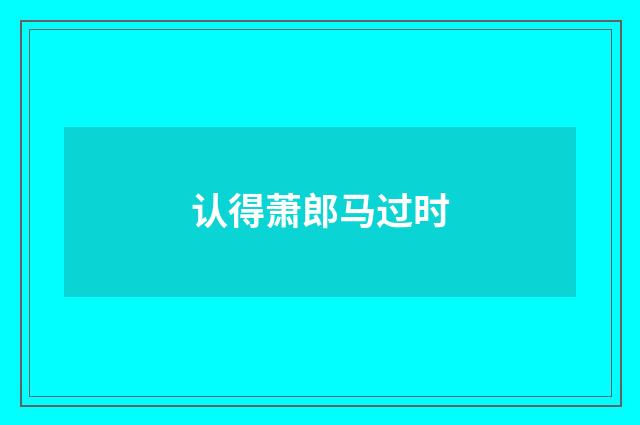 认得萧郎马过时