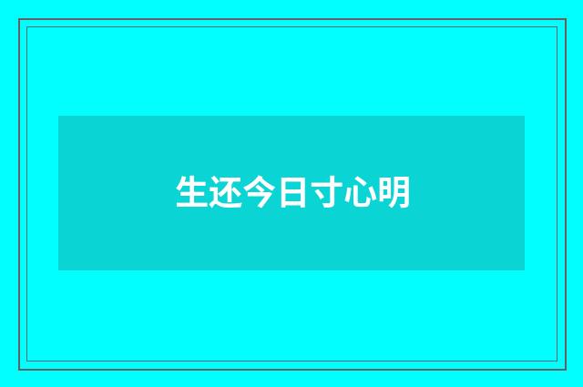 生还今日寸心明