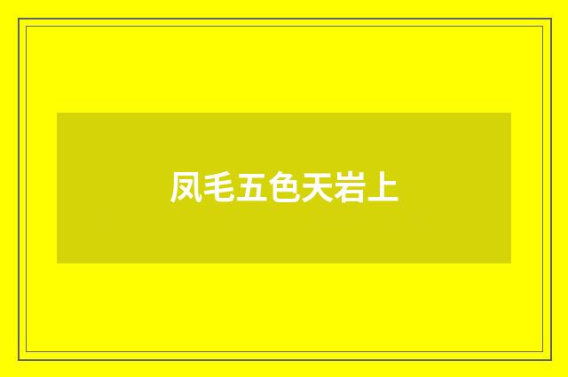 凤毛五色天岩上