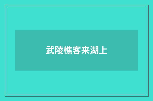 武陵樵客来湖上