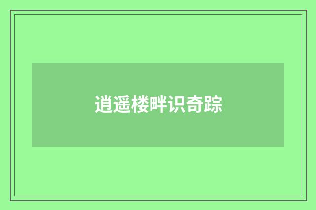 逍遥楼畔识奇踪