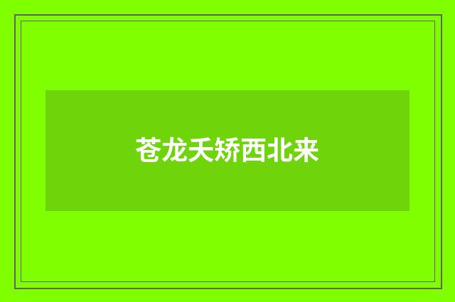 苍龙夭矫西北来