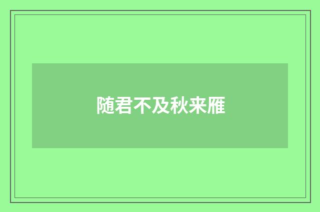 随君不及秋来雁