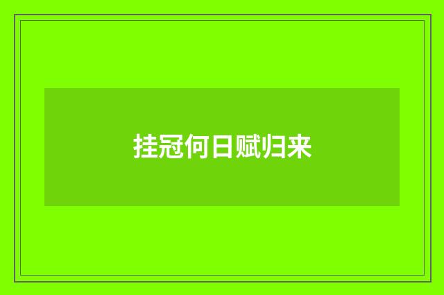 挂冠何日赋归来