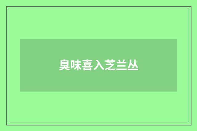 臭味喜入芝兰丛
