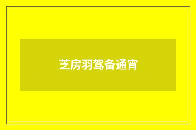 芝房羽驾备通宵
