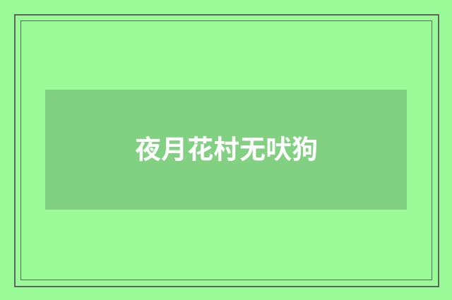 夜月花村无吠狗