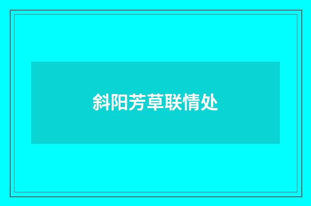 斜阳芳草联情处