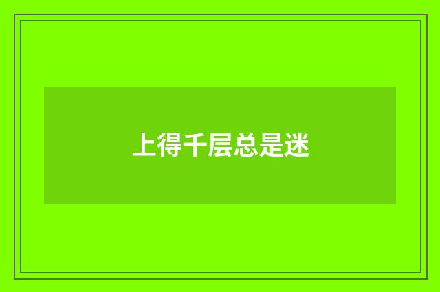 上得千层总是迷