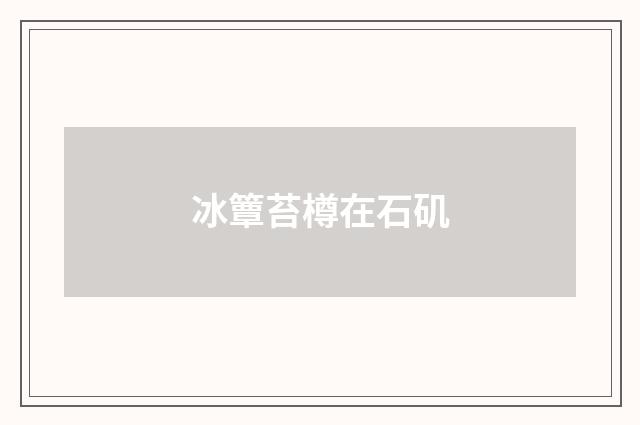 冰簟苔樽在石矶