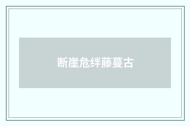 断崖危绊藤蔓古