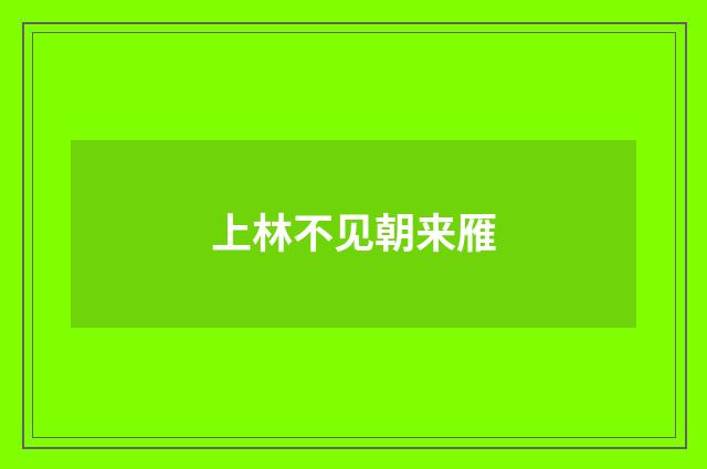 上林不见朝来雁