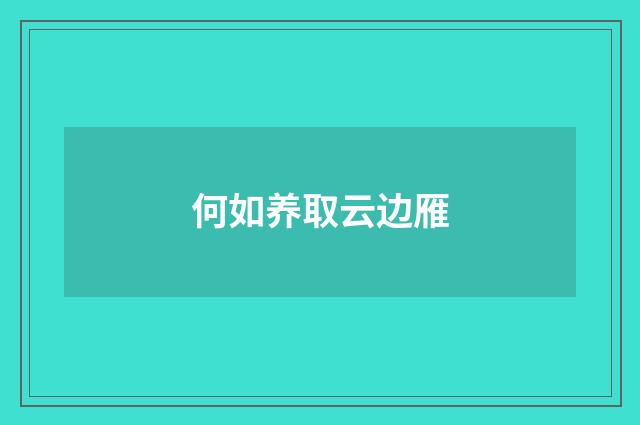 何如养取云边雁