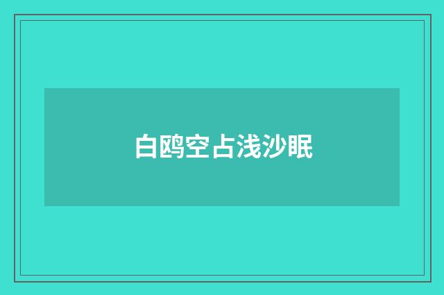白鸥空占浅沙眠