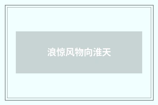 浪惊风物向淮天